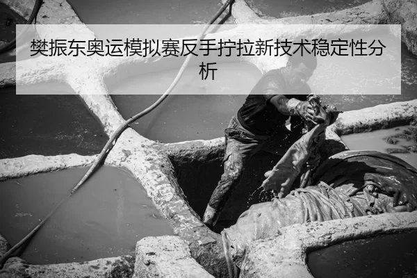 fan-zhen-dong-ao-yun-mo-ni-sai-fan-shou-ning-la-xin-ji-shu-wen-ding-xing-fen-xi-3-382.jpg